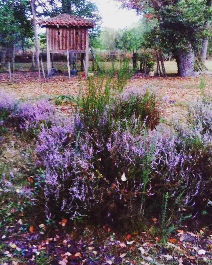 Les Hotes Des Guillemets Laglorieuse Buitenkant foto