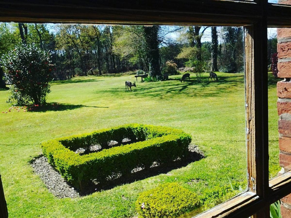 Les Hotes Des Guillemets Laglorieuse Buitenkant foto
